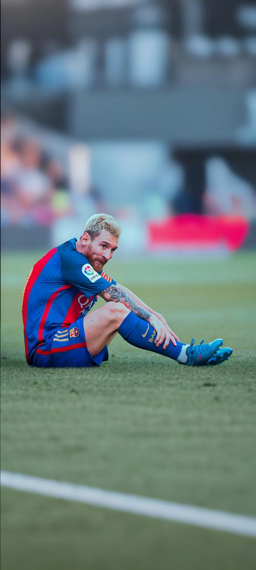 前水晶宫主帅沃诺克：我们错过了范戴克；瓜帅革新了足球理念（水晶宫前帅沃诺克：当年错失范戴克，瓜迪奥拉重塑了足球理念）