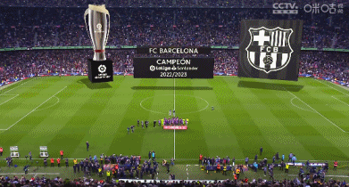 足球中超球队宣布签下五大联赛中场悍将